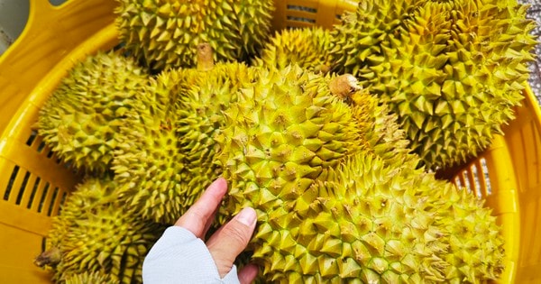 Quy định mới về xuất khẩu nông sản vào Trung Quốc