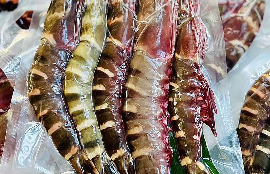 Mực, tôm tăng giá mạnh trước Tết