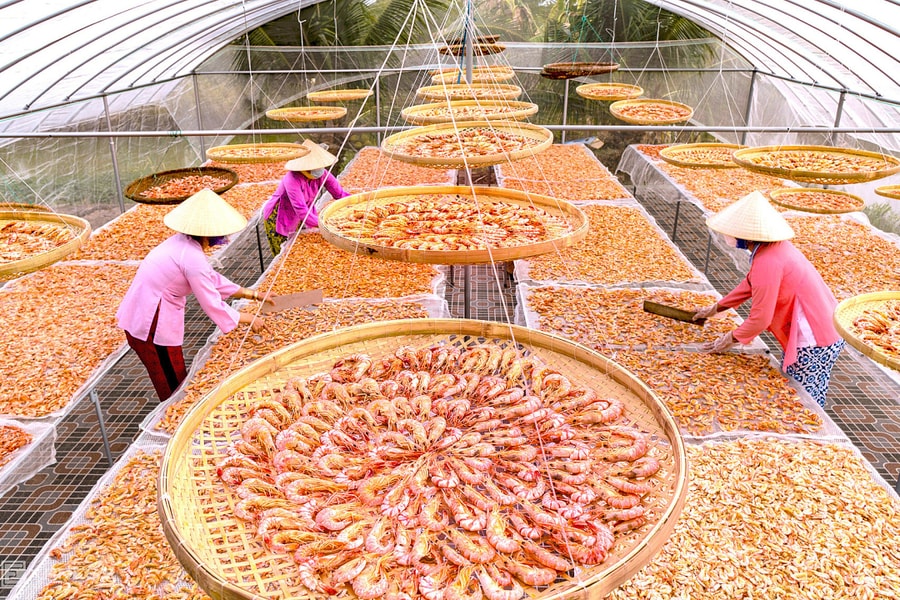 Tôm khô Cà Mau giá tiền triệu vào mùa Tết