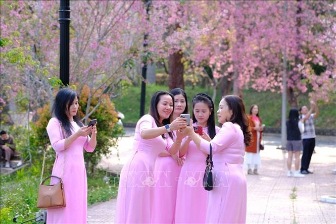 Thăm giảng đường 'đẹp không góc chết' ngay lòng Đà Lạt