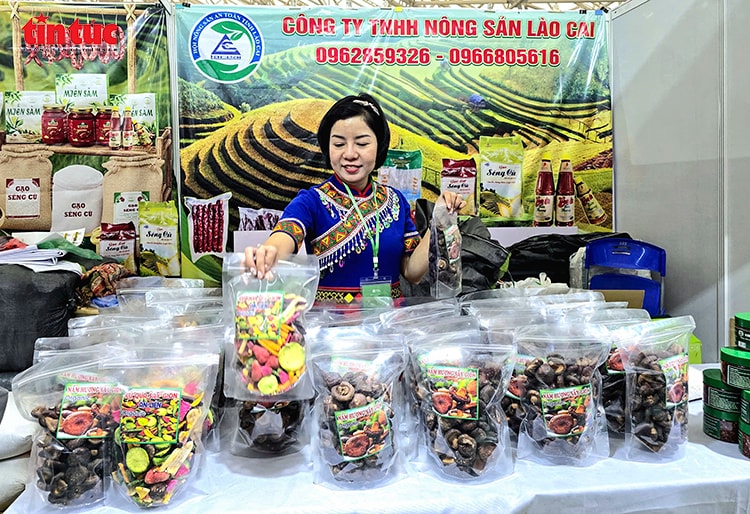 Hội chợ Mùa Xuân, cơ hội vàng cho doanh nghiệp tìm kiếm đối tác