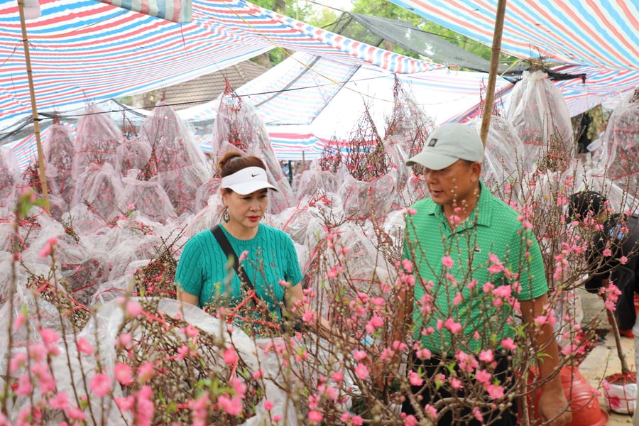 Hoa mai, hoa đào hút khách tại chợ hoa Tết TP Hồ Chí Minh