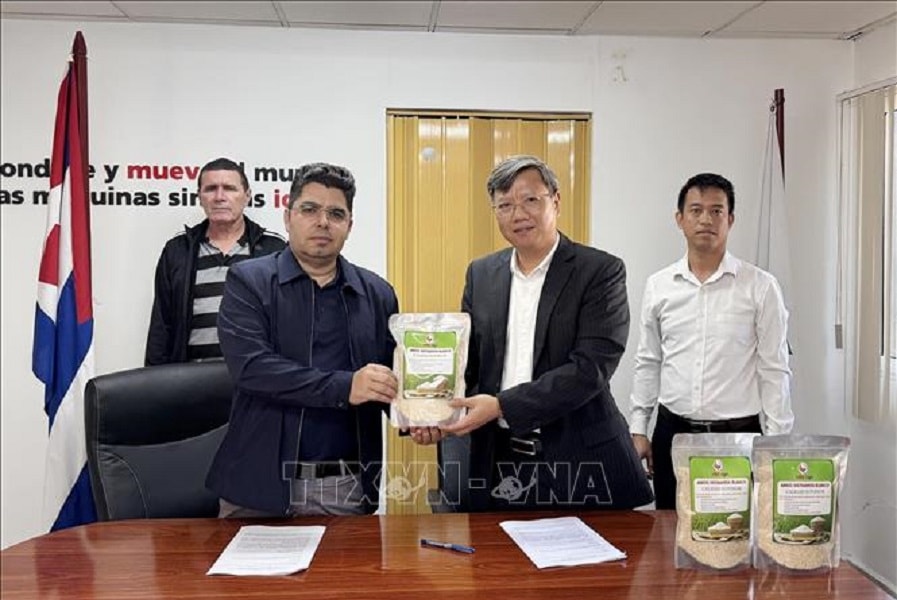 Việt Nam hỗ trợ Cuba đảm bảo an ninh lương thực