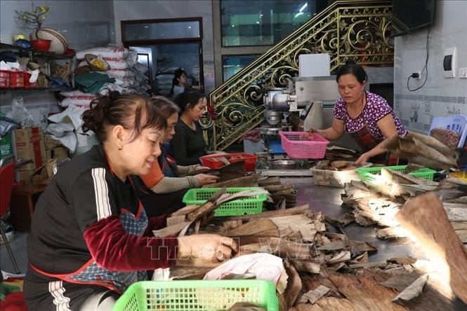 Mùa Tết, làng bánh gai Ninh Giang tăng gấp đôi sản lượng