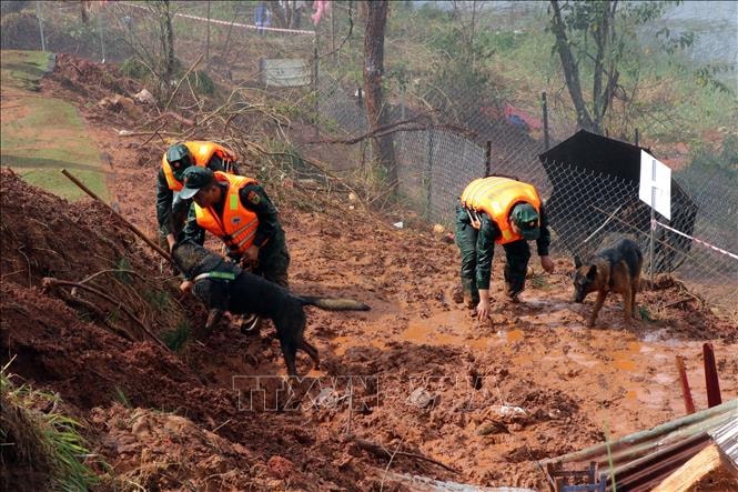 Chủ động ứng phó các tình huống thiên tai trong dịp Tết Nguyên đán