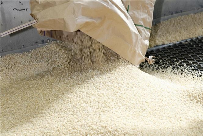 Giá gạo Ấn Độ và Thái Lan ít biến động trước thềm Tết Nguyên đán