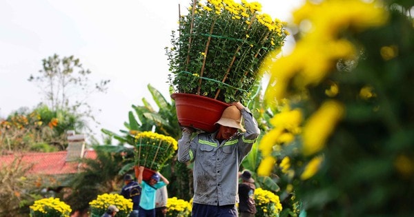 Làng hoa Tết vào xuân