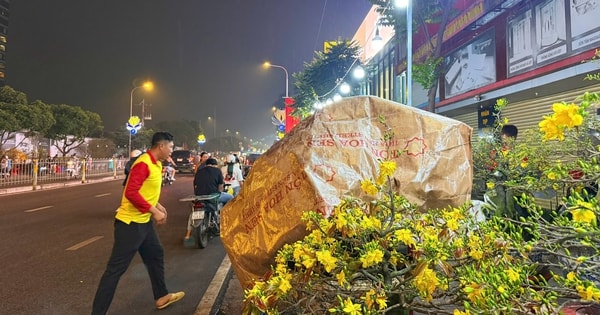 Chuyện thuê mai ngày Tết và những vui buồn ít ai thấu hiểu