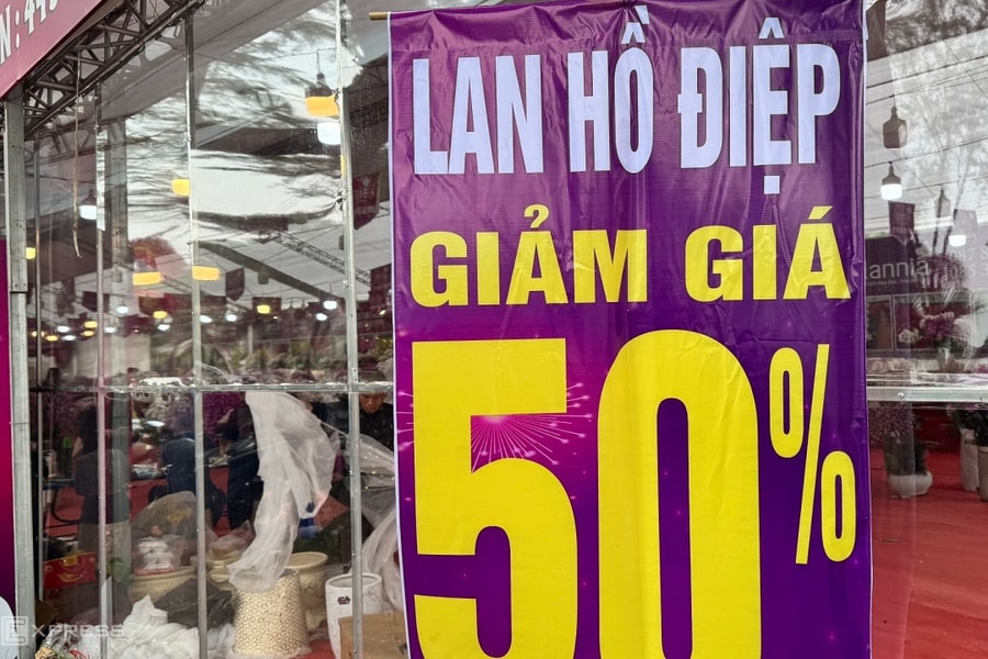 Cây cảnh, hoa chơi Tết giảm giá một nửa để xả hàng sớm