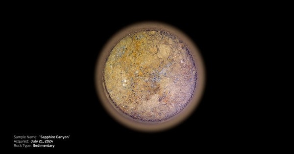 Hai tảng đá “da báo” tiết lộ về sự sống ngoài hành tinh?