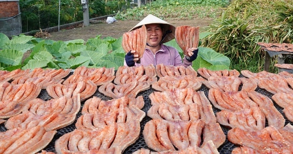 "Bật mí" công thức ướp khô cá lóc ở Cần Thơ