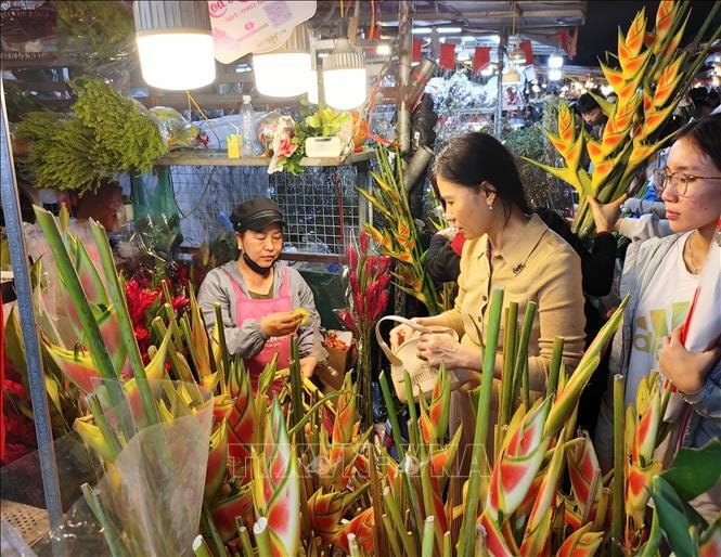 Đi chợ hoa đêm để được 'chạm' vào Tết