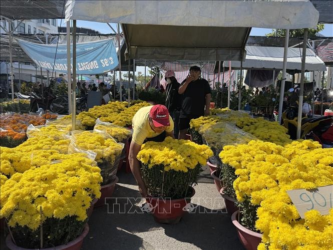 Hoa kiểng đồng loạt giảm giá chiều 29 Tết