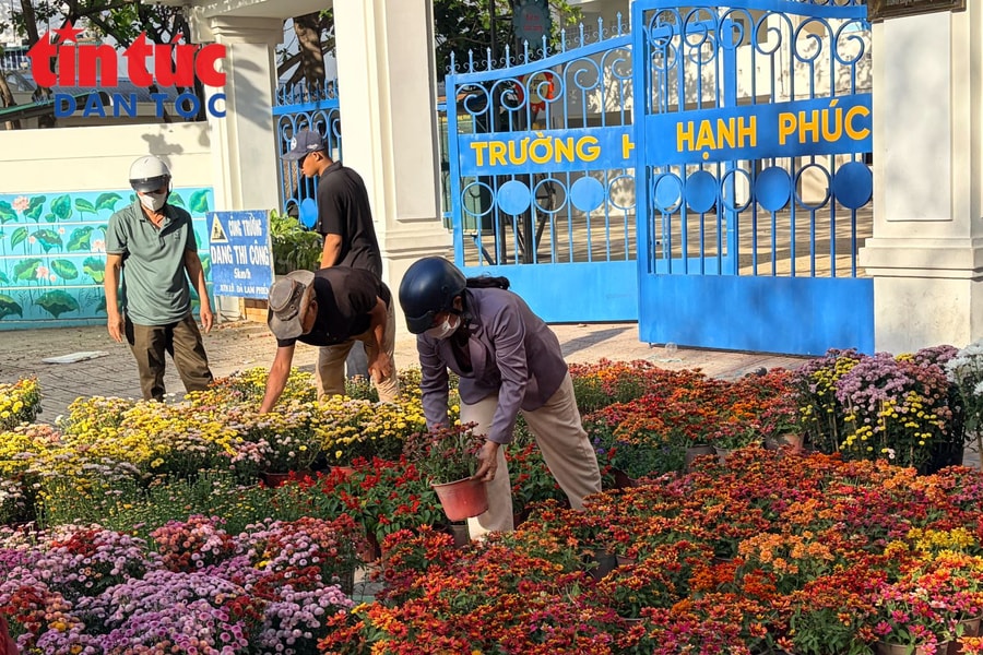 Chợ hoa Tết Nha Trang trầm lắng trong chiều 29 Tết