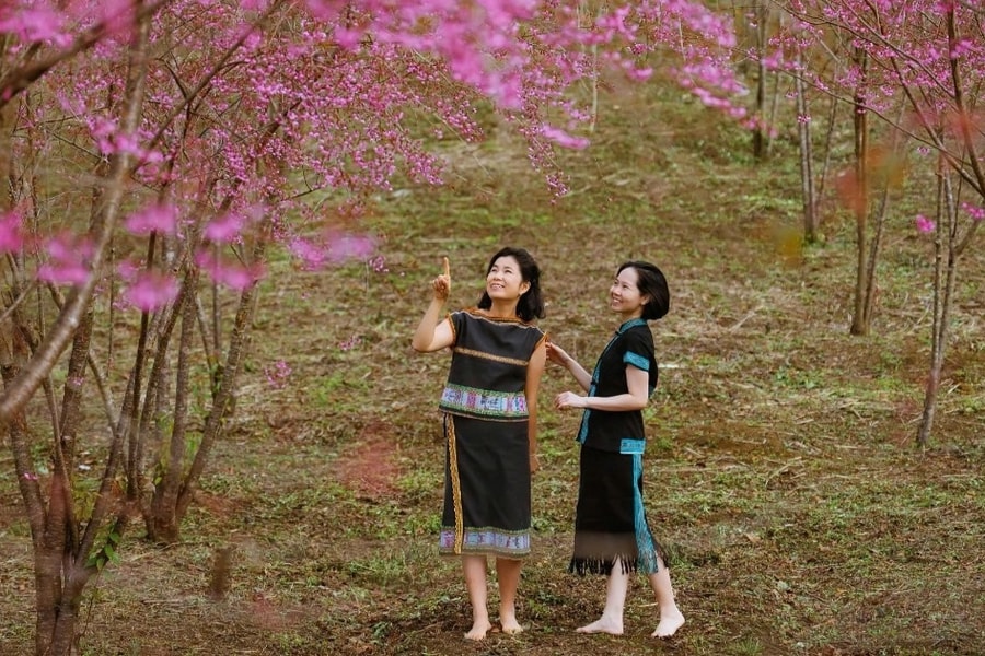 Thổn thức với loài hoa của núi rừng ở cao nguyên Măng Đen