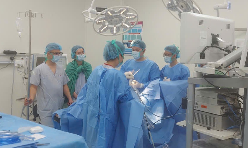 Vợ chồng trọng thương do bị trâu húc trên đường về quê ăn Tết