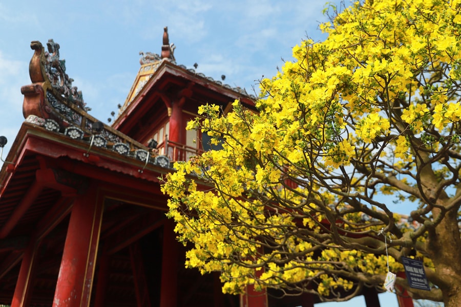 10 lời chúc Tết Bính Ngọ 2026 bằng tiếng Anh