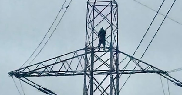 Người đàn ông thất tình trèo lên cột điện khiến 20.000 hộ dân gánh hậu quả