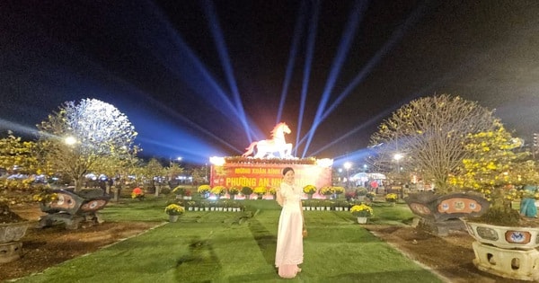 Cận cảnh những “tuyệt tác bạc tỉ” hội tụ tại thủ phủ mai vàng miền Trung