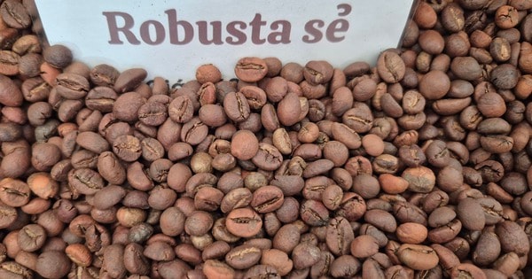 Giá cà phê hôm nay 16-2: Việt Nam là thị trường cung cấp thứ 3 cho Trung Quốc