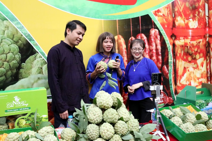 Công nghệ số 'cõng sinh kế' tới vùng cao