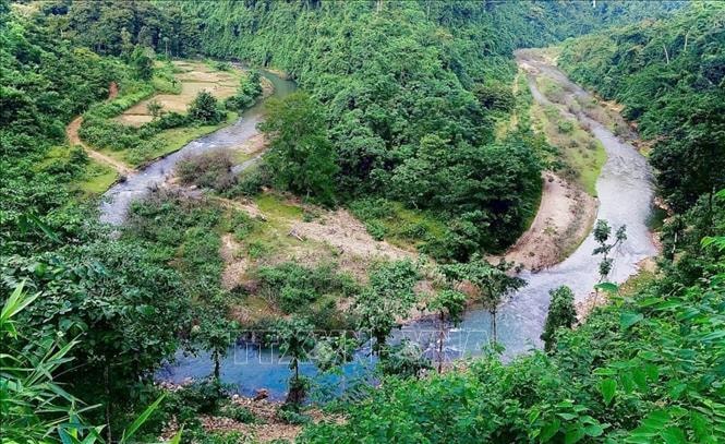Vườn thực vật ngoại vi Pù Huống- 'Bảo tàng sống' về các loài thực vật nhiệt đới