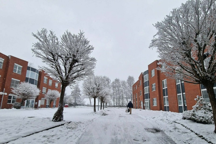 Giao thừa giữa giá lạnh của du học sinh nghề ở Đức