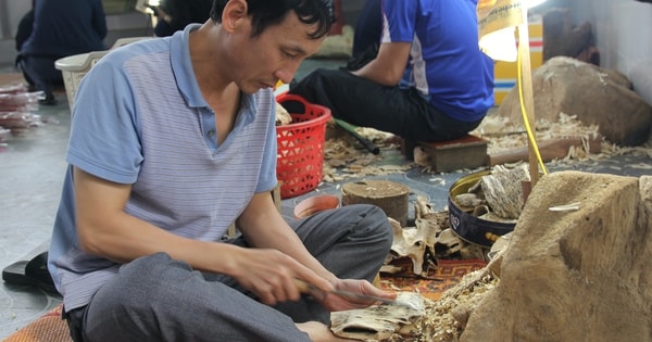 Ngát hương Xuân nơi “thủ phủ” dó trầm