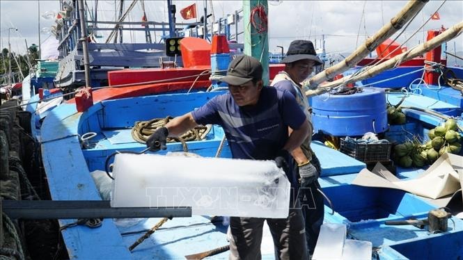 Ngư dân ra khơi chờ mong một vụ mùa bội thu