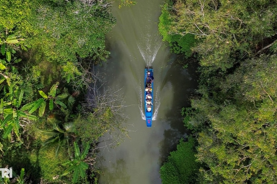 Khách Tây mê mẩn đi vỏ lãi tham quan rừng tràm, ngắm chim cò ở miền Tây