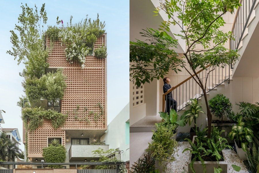 Xu hướng tạo 'hệ sinh thái xanh' trong nhà phố