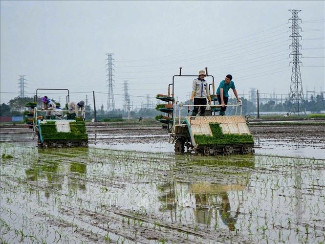 Nông dân tranh thủ thời tiết thuận lợi ra đồng sản xuất đầu Xuân