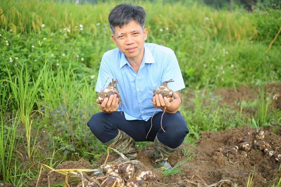 Người đầu tiên 'thuần hóa' thủy tiên trên đất Việt