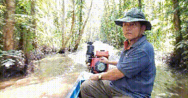 VIDEO: Trải nghiệm bắt ong mật ngày Tết