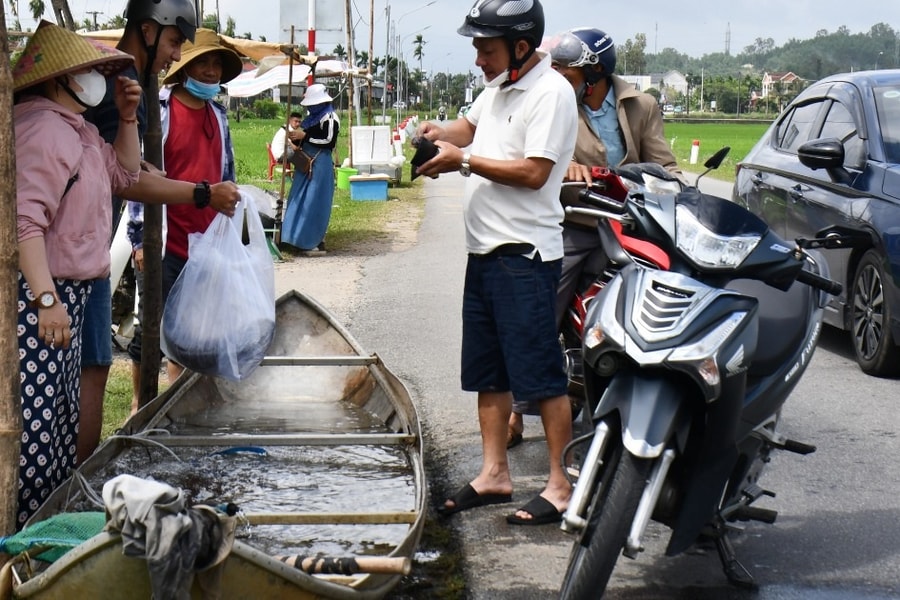 Thuyền cá "bơi" lên quốc lộ, kiếm 8-10 triệu đồng ngày Tết