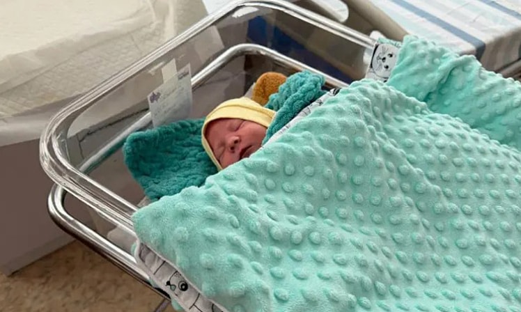 Cuộc chiến 'bảo tồn nòi giống' trong ống nghiệm tại Ukraine