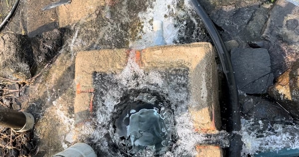 CLIP: Kỳ lạ hàng chục giếng nước tự phun trào ở Đồng Nai