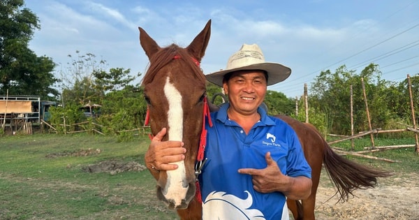 Đầu xuân Bính Ngọ 2026: Thăm trang trại ngựa lớn nhất TPHCM