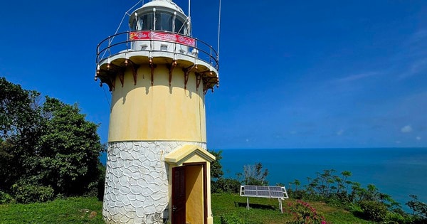 Canh “mắt biển” trăm tuổi trên đỉnh Sơn Trà