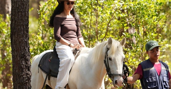 Trải nghiệm cưỡi ngựa giữa rừng già Măng Đen