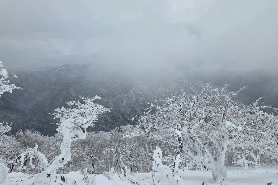 Cô gái Việt Nam tử vong ở sườn dốc khi leo núi tuyết ở Nhật một mình