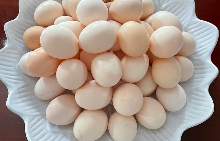 Mắc bệnh gan có nên ăn trứng?