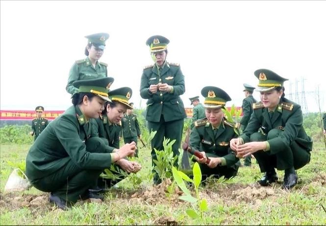 Bộ đội Biên phòng lan tỏa phong trào 'Tết trồng cây' trên hai tuyến biên giới