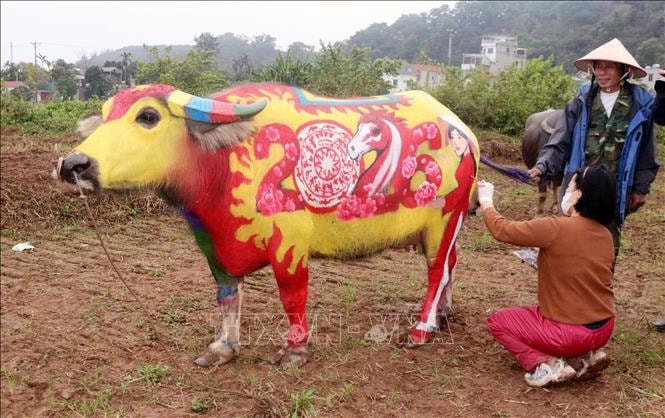 Ngắm những 'ông trâu' Đọi Sơn phiên bản xuân Bính Ngọ