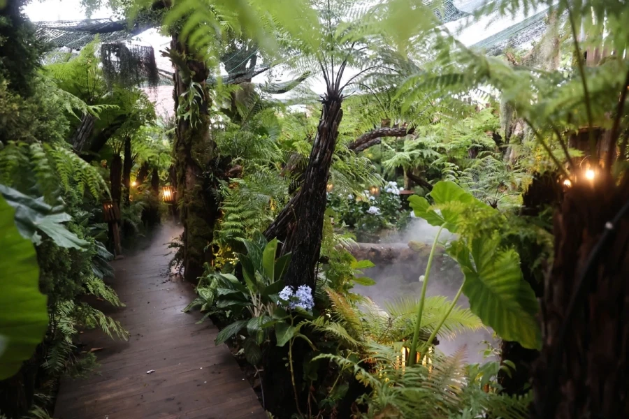 Bên trong quán cà phê như 'vườn địa đàng' ở TP HCM trước khi bốc cháy