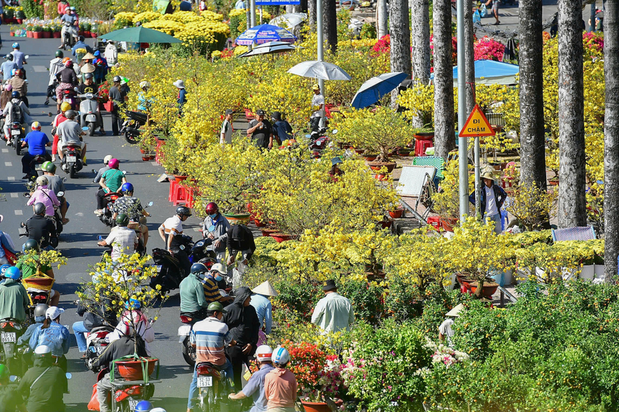 Năm nào đón Tết Nguyên đán sớm nhất trong thế kỷ 21?