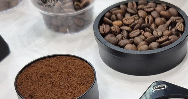 Giá cà phê hôm nay 22-2: Doanh thu một nhãn hàng cà phê đạt gần 8,4 tỉ USD