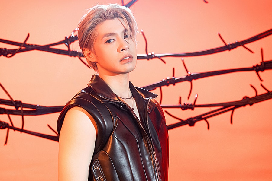 Thua kiện Noo Phước Thịnh, nhạc sĩ người Mỹ kháng cáo