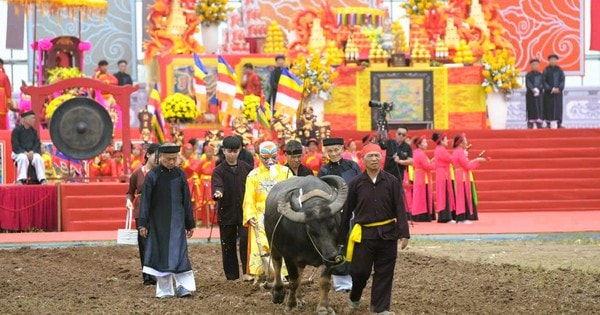 Bí thư Ninh Bình xuống đồng đi cày ở lễ hội Tịch điền 2026