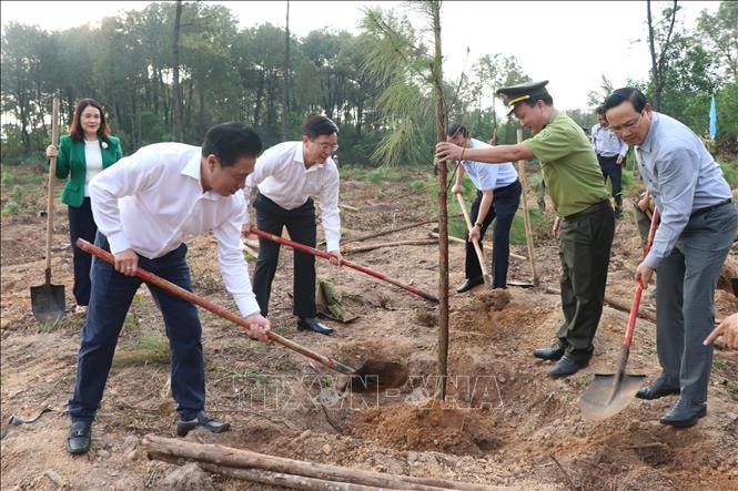 Tết trồng cây: Nâng cao ý thức bảo vệ rừng, gìn giữ tài nguyên thiên nhiên